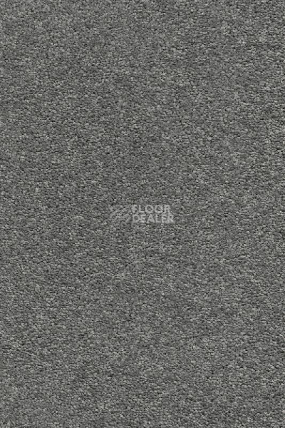 Ковролин AW Vivendi Punch 94 фото 1 | FLOORDEALER